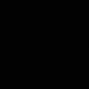 Meet your Posher, Brendan